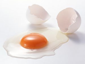24206